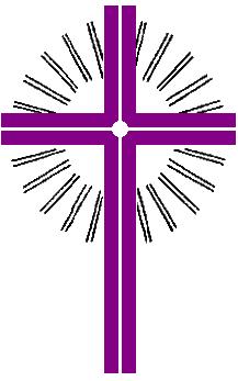 FELSISA Logo